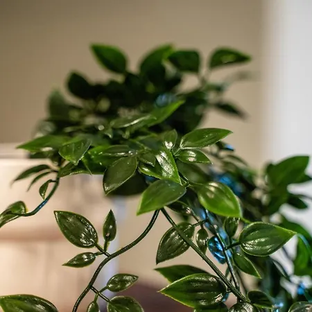 Riverbed Alojamento de Acomodação e Pequeno-almoço